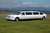 Not a Hummer Limousine but the biggest in Tauranga